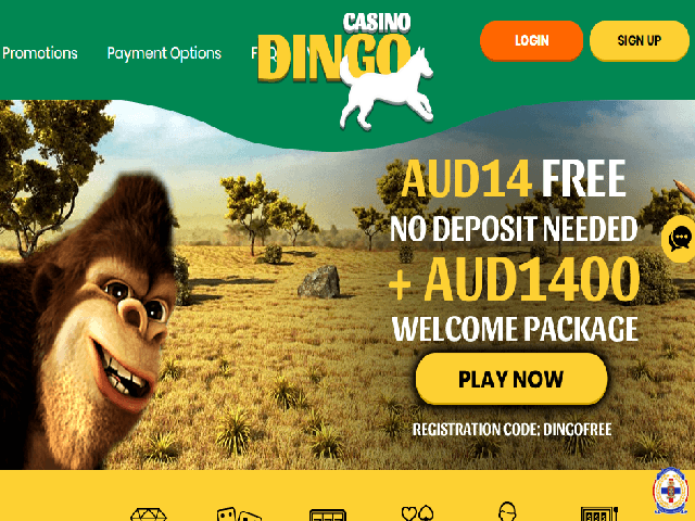 Casino Dingo Bonus Review